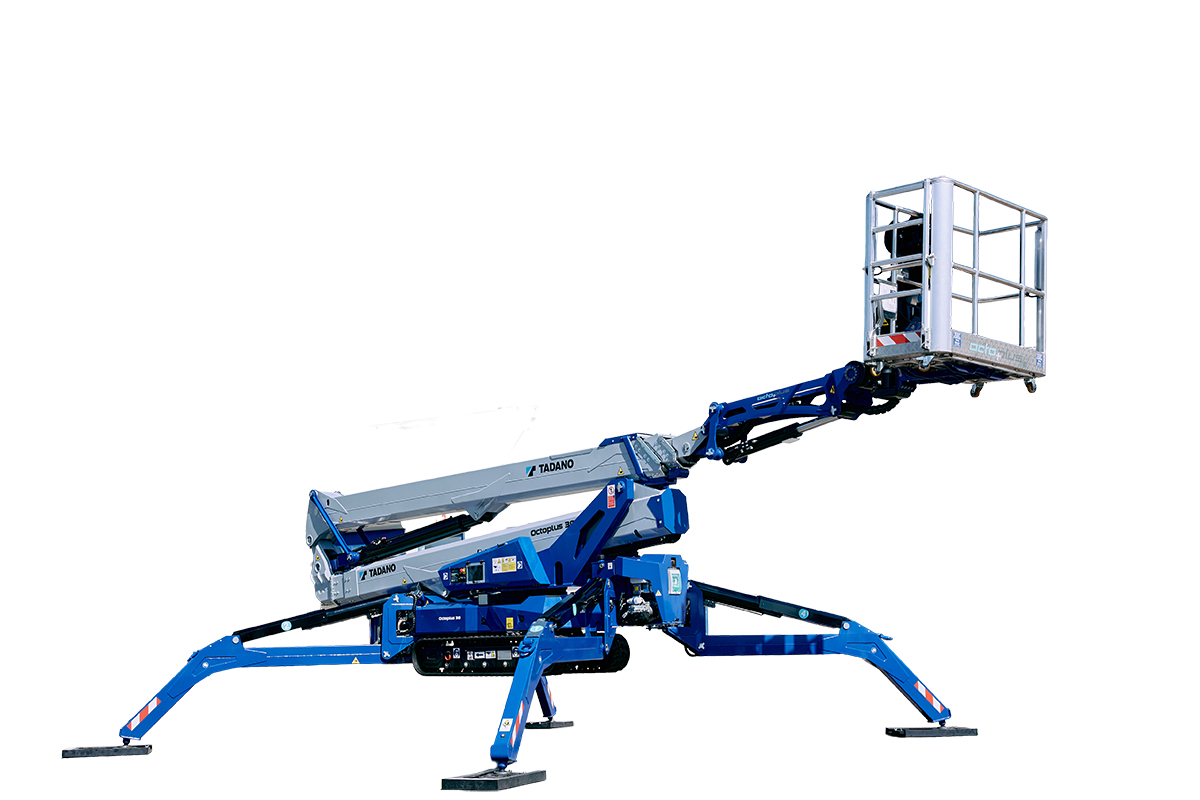 Octopus 23